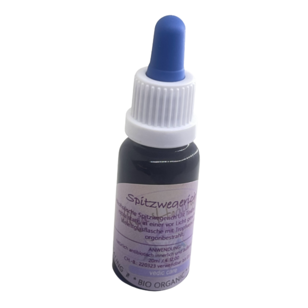 Mijo Healing Spitzwegerich Pflanzenauszug in Violettglasflasche als natürlicher Begleiter für die Hausapotheke